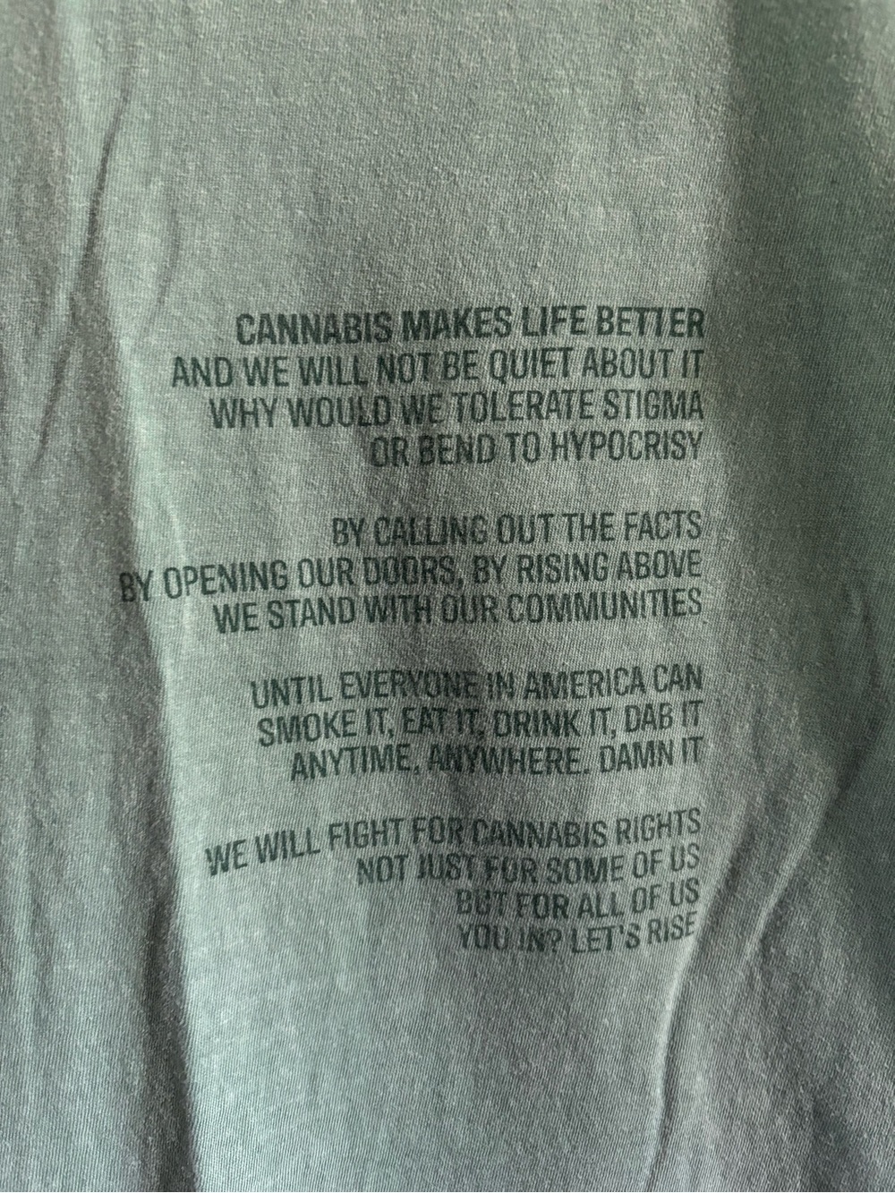 Comfort Colors Men's 'RISE' Short Sleeve Tee in Sage Green - Picture 2 of 5